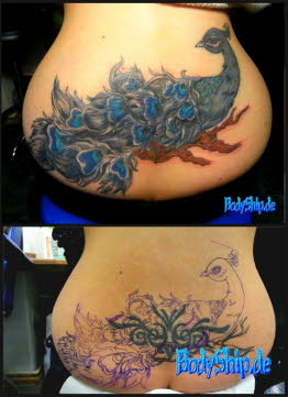 Arschgeweih Cover Up mit Pfau