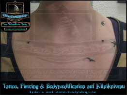 Dekolette Brust Busen weiblich Dermal Anchor Microdermal Glitzer Piercing Bodymod by Bodyship Halle - Sachsen Anhalt - www
